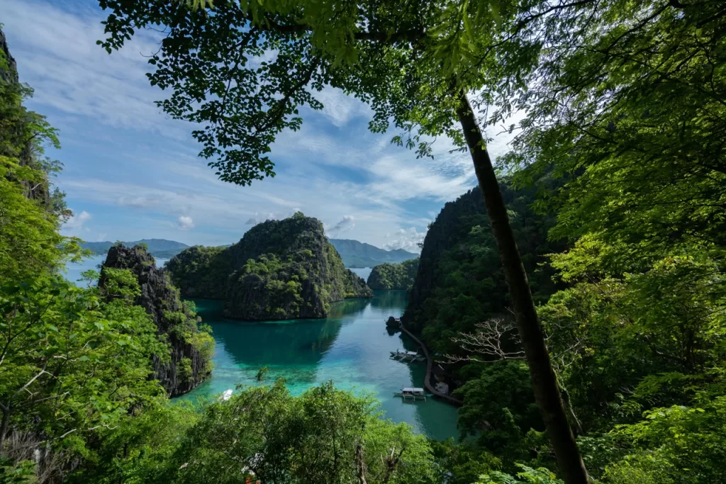 Kayangan Lake in Coron Palawan with limestone cliffs and turquoise water